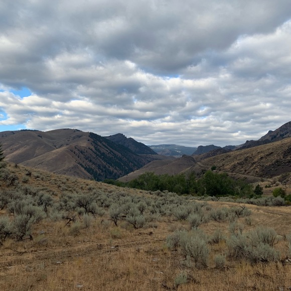 Meet your Posher, Adam - Picture 2 of 3